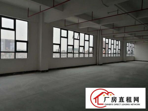  厚街下汴房东直租莞太路边独门独院全新厂房可分租单层1350平