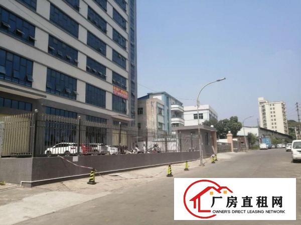  厚街下汴房东直租莞太路边独门独院全新厂房可分租单层1350平