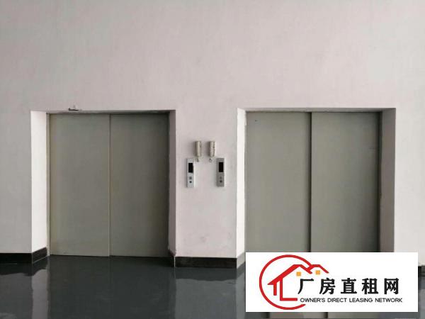  厚街下汴房东直租莞太路边独门独院全新厂房可分租单层1350平
