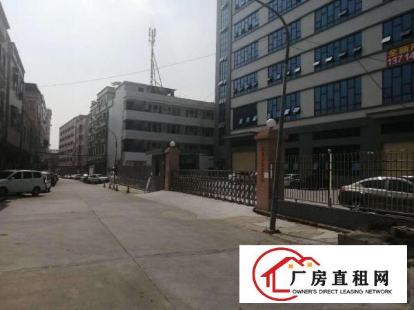  厚街下汴房东直租莞太路边独门独院全新厂房可分租单层1350平