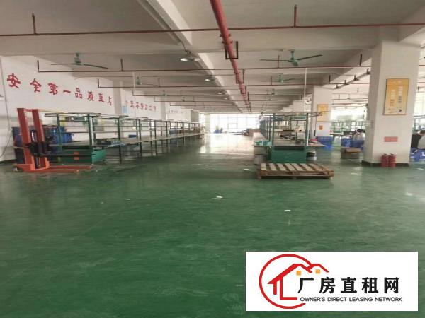  厚街新出独门独院5500平带环评厂房出租