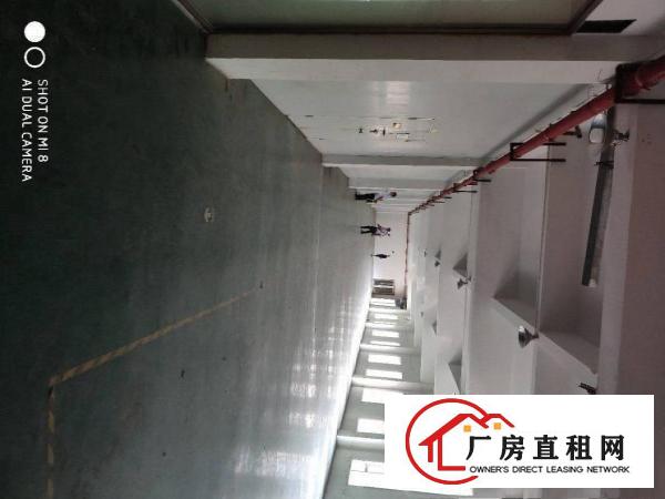 厚街新出独门独院5500平带环评厂房出租