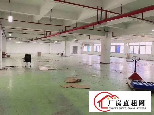  厚街新出独门独院5500平带环评厂房出租