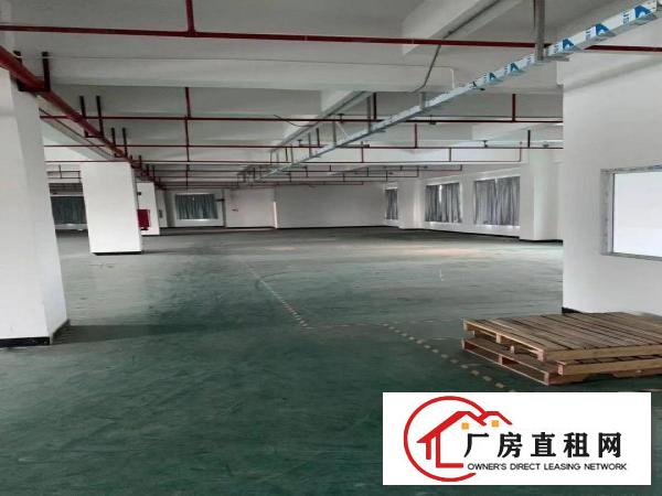  厚街新出独门独院5500平带环评厂房出租