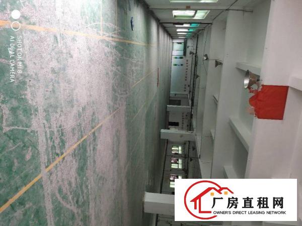  厚街新出独门独院5500平带环评厂房出租