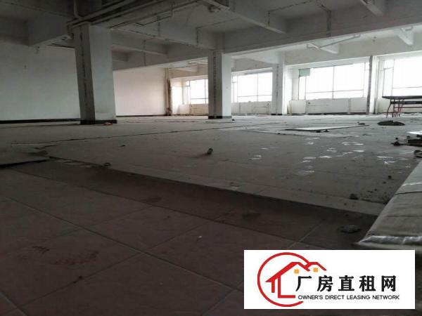  用电大客户福音！标准厂房宿舍办公楼空地配套完善