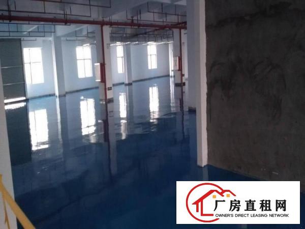  厚街镇新出楼上带现成地坪漆分租厂房1500平方口罩厂房