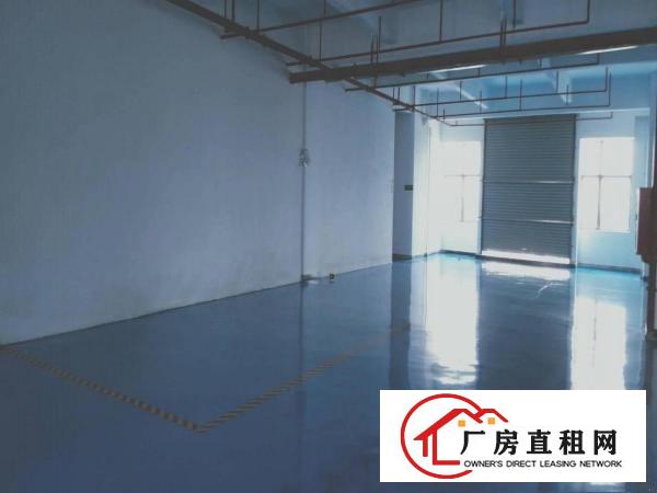  厚街镇新出楼上带现成地坪漆分租厂房1500平方口罩厂房