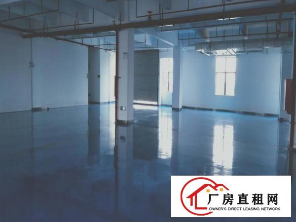  厚街镇新出楼上带现成地坪漆分租厂房1500平方口罩厂房
