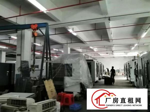  厚街赤岭村一楼厂房1200平方带装修办公室有地坪漆现成主线