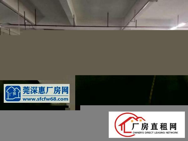  厚街汀山新出花园式厂房出租一楼3500平方，带办公，地坪漆