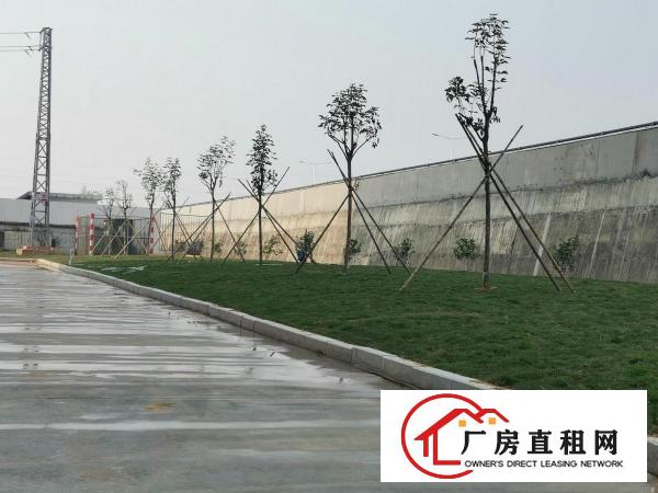  ！！！空地超大全新厂房可分租1500平米起！！！