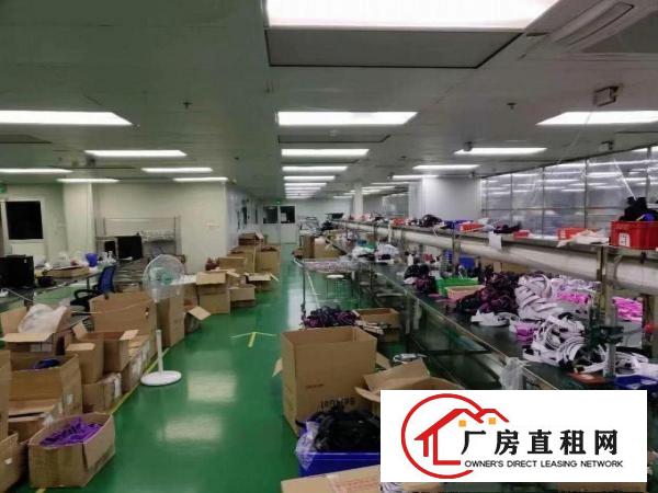  厚街汀山新出3000平标准独院厂房办公装修齐全