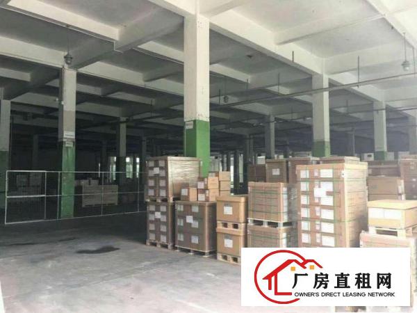  厚街汀山新出3000平标准独院厂房办公装修齐全