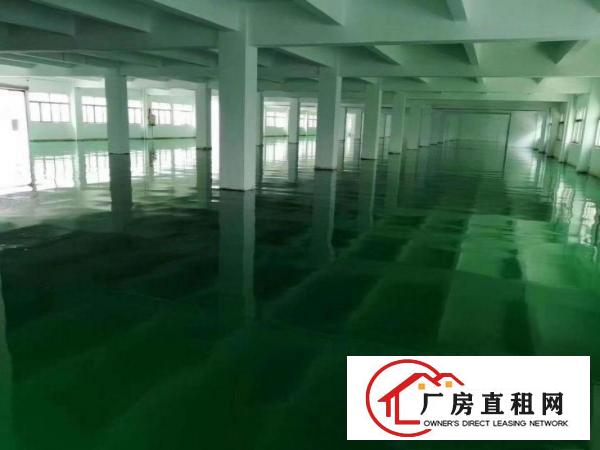  厚街镇溪头村出独门独院厂西头村