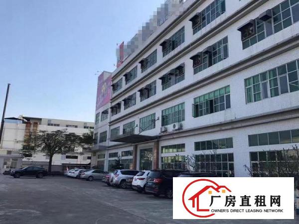  三屯出标准二楼楼上1500平厂房可分租可办环评带办公装修