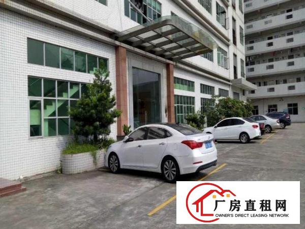  三屯出标准二楼楼上1500平厂房可分租可办环评带办公装修