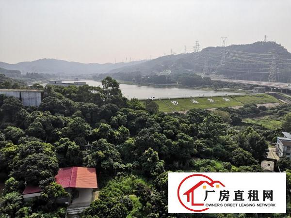  ！！！厚街下汴全新厂房特价优惠10元起！！！