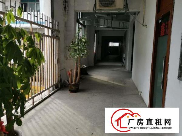  厚街赤岭新出5楼1900平厂房精装修带办公室！