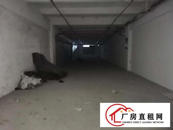  厚街赤岭新出5楼1900平厂房精装修带办公室！