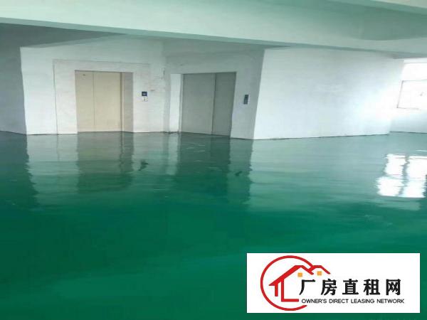 厚街刚出一个楼上600平方带地坪漆一部货梯一部客梯现成水电