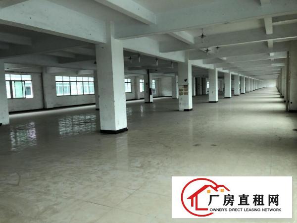  厚街桥头新出5000方厂房出租，现成装修，拎包入驻