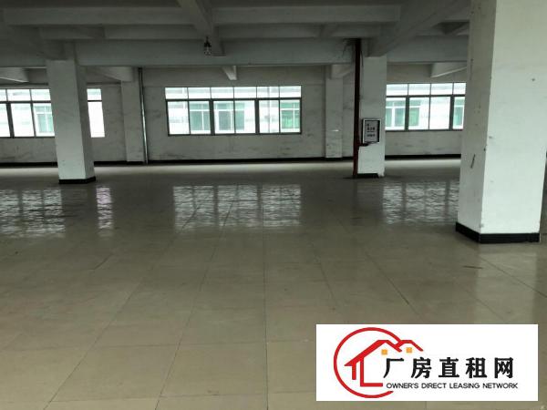  厚街桥头新出5000方厂房出租，现成装修，拎包入驻