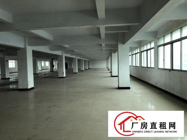  厚街桥头新出5000方厂房出租，现成装修，拎包入驻