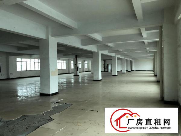  厚街桥头新出5000方厂房出租，现成装修，拎包入驻