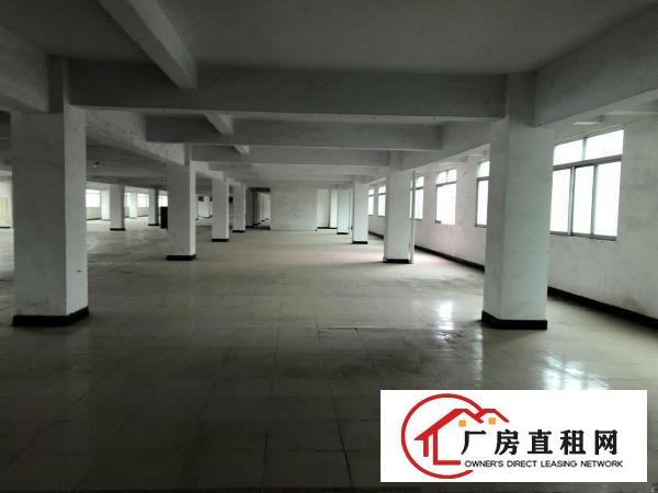  厚街桥头新出5000方厂房出租，现成装修，拎包入驻