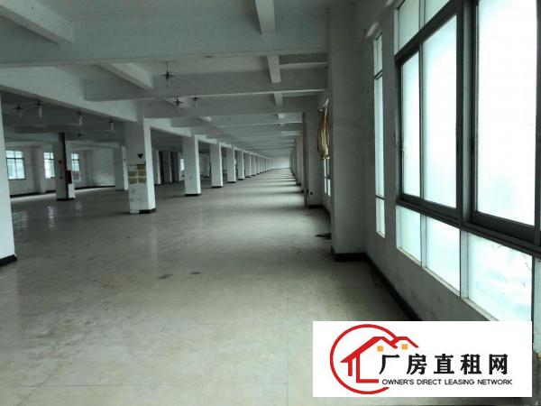  厚街桥头新出5000方厂房出租，现成装修，拎包入驻