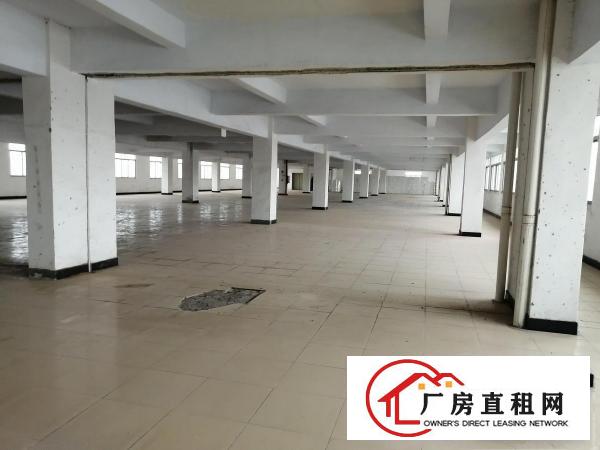  厚街桥头新出5000方厂房出租，现成装修，拎包入驻