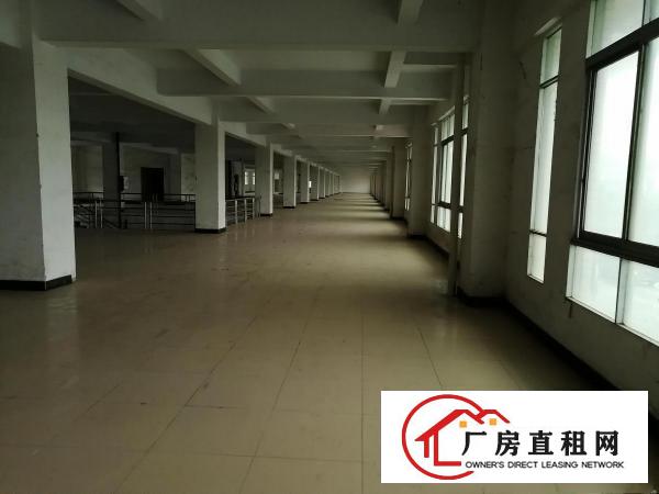  厚街桥头新出5000方厂房出租，现成装修，拎包入驻