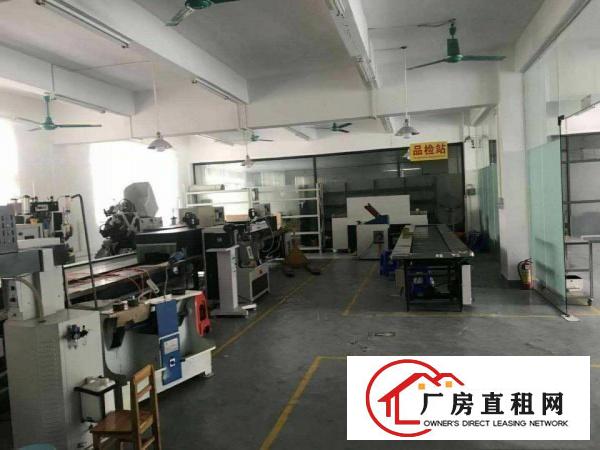  厚街新空出1200平方带精装修厂房出租仓库出租