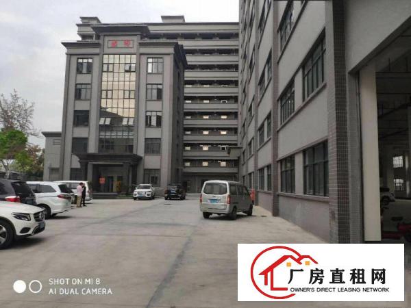  厚街新空出1200平方带精装修厂房出租仓库出租