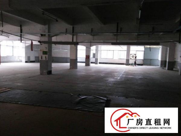  汀山新空出楼上800平厂房，价格优