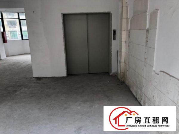  厚街桥头新出楼上2000平带2T货梯货柜好进出