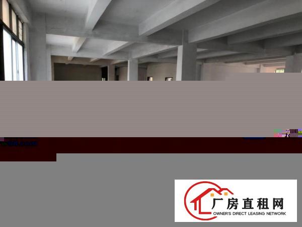  厚街桥头新出楼上2000平带2T货梯货柜好进出
