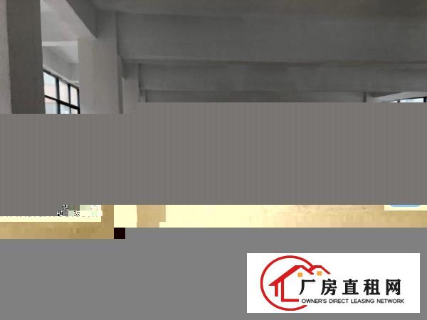  厚街桥头新出楼上2000平带2T货梯货柜好进出