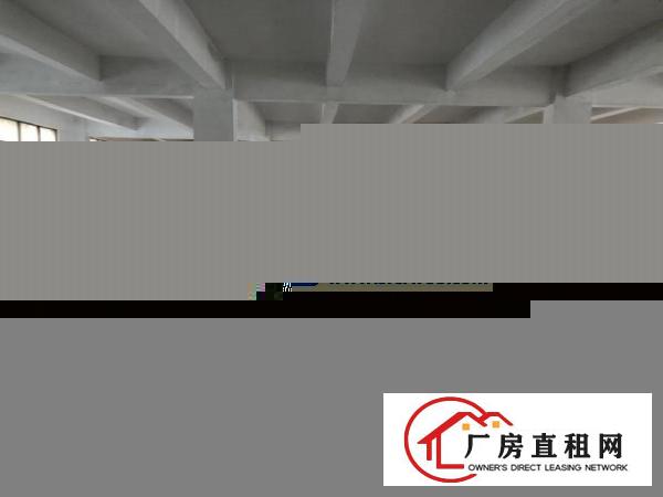  厚街桥头新出楼上2000平带2T货梯货柜好进出