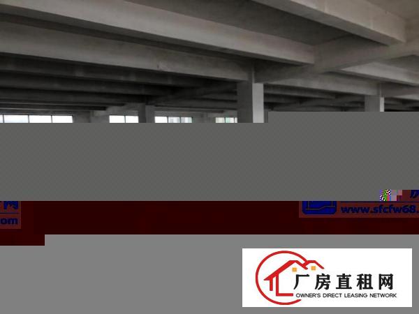  厚街桥头新出楼上2000平带2T货梯货柜好进出