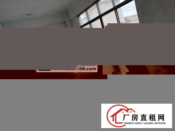  厚街桥头新出楼上2000平带2T货梯货柜好进出