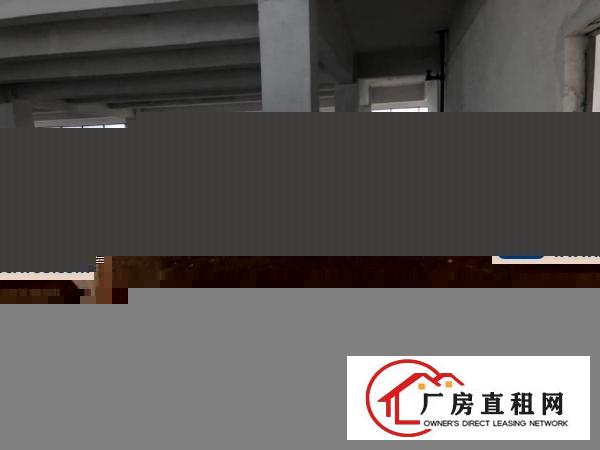  厚街桥头新出楼上2000平带2T货梯货柜好进出