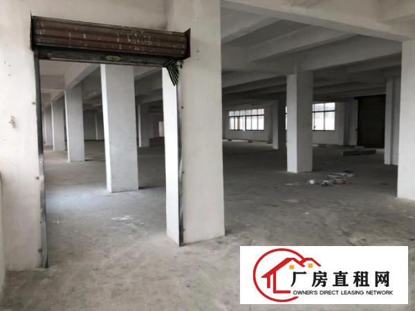  厚街桥头新出楼上2000平带2T货梯货柜好进出