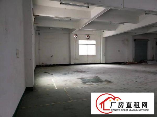  陈屋一楼240平方小面积厂房仓库出租现成办公室主干道边有宿舍