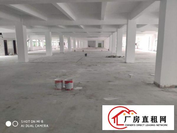  厚街新塘新出厂房11000平全新装修电630整租16！