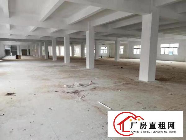  厚街新塘新出厂房11000平全新装修电630整租16！