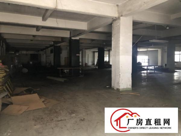 厚街赤岭新出一楼1350平带现成装修办公室水电齐全可办环评