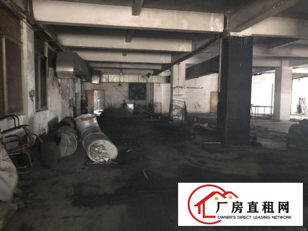  厚街赤岭新出一楼1350平带现成装修办公室水电齐全可办环评