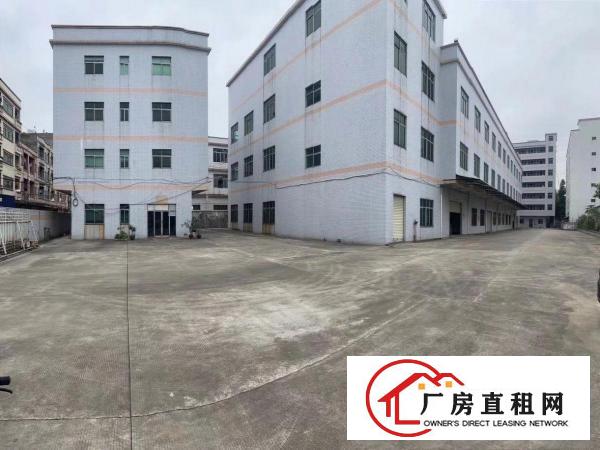  厚街新塘厂房一楼1300平方高度5米现成办公室空地大